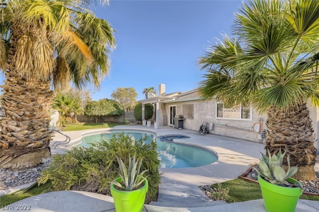 Backyard featuring palm trees and a swimming pool, single story home
